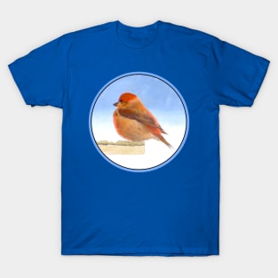 Scarlet Tanager T-Shirt